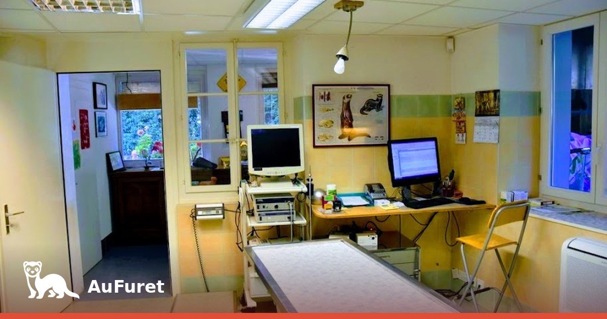 Salle de consultation du cabinet vétérinaire AuFuret